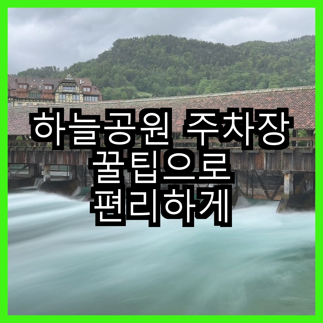 하늘공원 주차장 꿀팁으로 편리하게 이용하기 썸네일