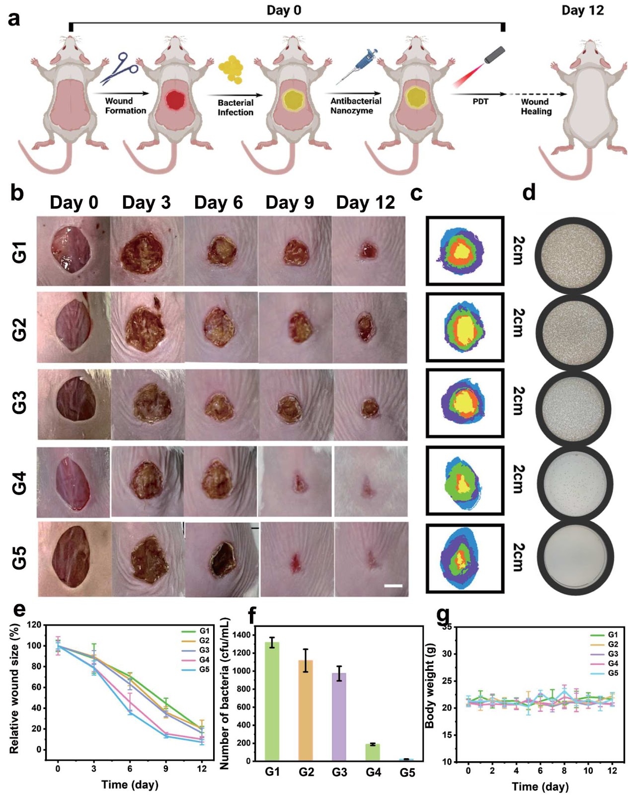 Bacterial Microenvironment-Responsive Fe-Ce6 Nanoparticles Accelerate Infected Wound Healing via In Situ Generation of Nanozyme and Photodynamic Antibacterial Activity