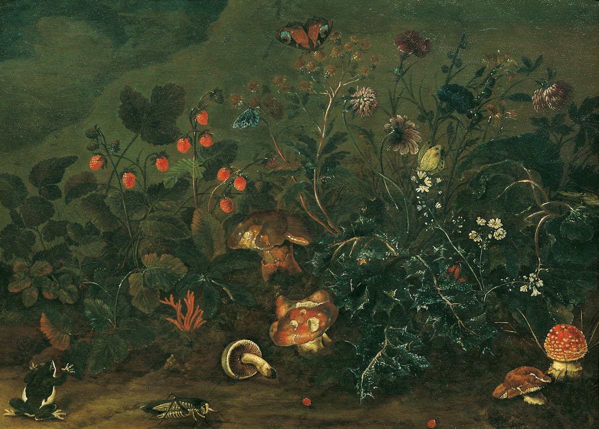 Rasenstück mit Erdbeeren und Grille 1737