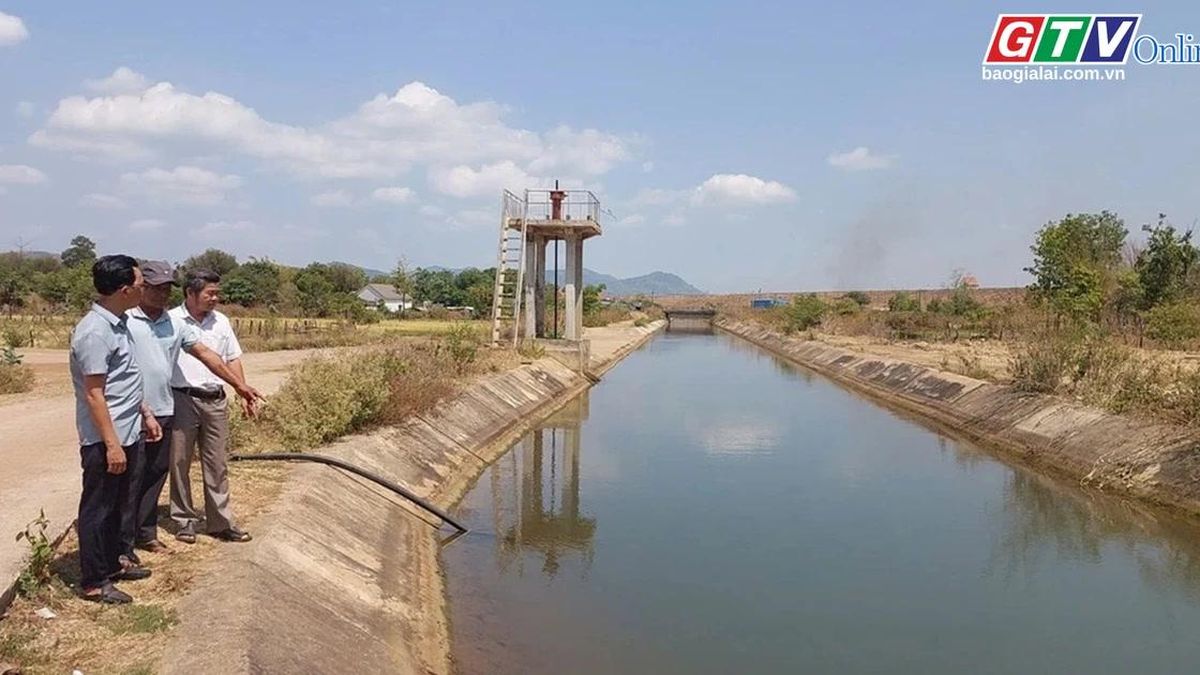 Điểm tin trưa: Gia Lai dự kiến đầu tư 810 tỷ đồng cho 3 dự án thủy lợi cấp bách - Báo Gia Lai