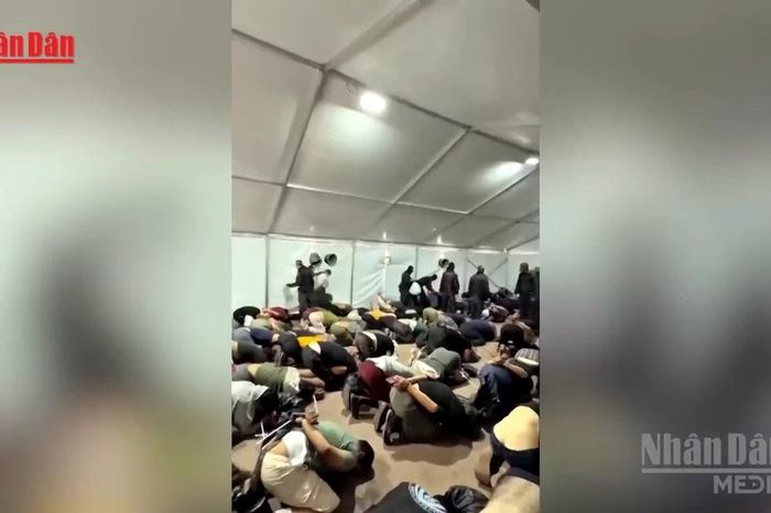 [Video] Các nhà hoạt động vì Dải Gaza cáo buộc bị ngược đãi tại Israel - Báo Nhân Dân