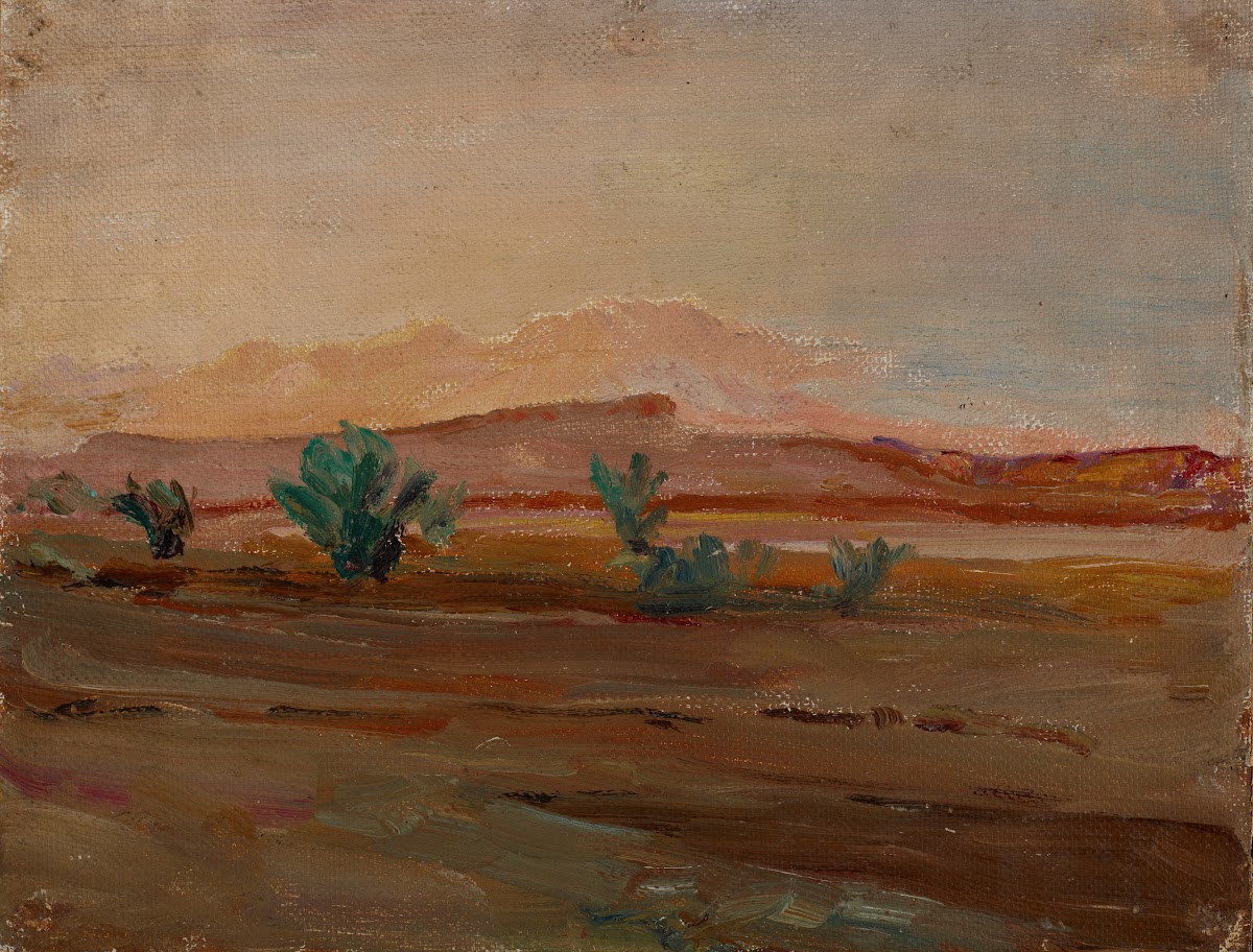 Sahara Desert after a Rain 1909