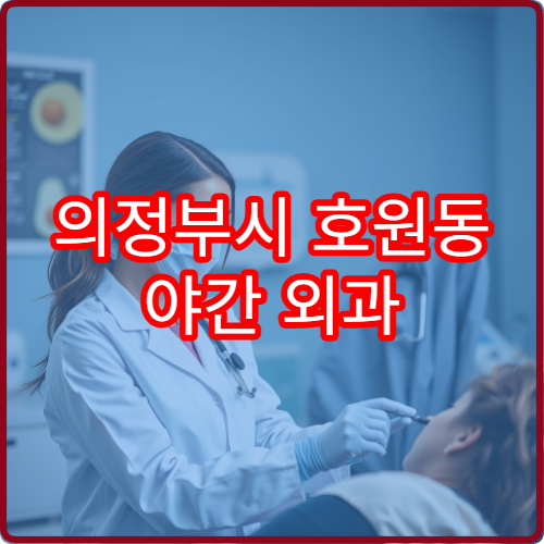 의정부시 호원동 야간 외과 찰과상 베인상처 진료 병원 정리