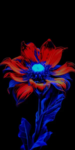 Flower, Flowering Plant, Petal, Purple, Violet 5K iPhone Wallpaper Background