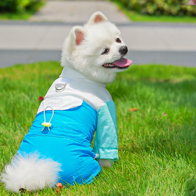 Lightweight Four-Leg Dog Coat with Wind Protection