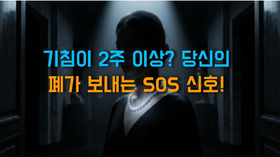 기침이 2주 이상? 당신의 폐가 보내는 SOS 신호!