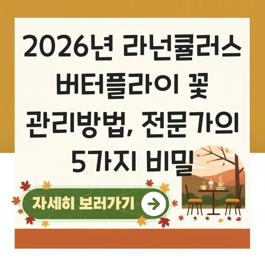 라넌큘러스 버터플라이 꽃 관리방법