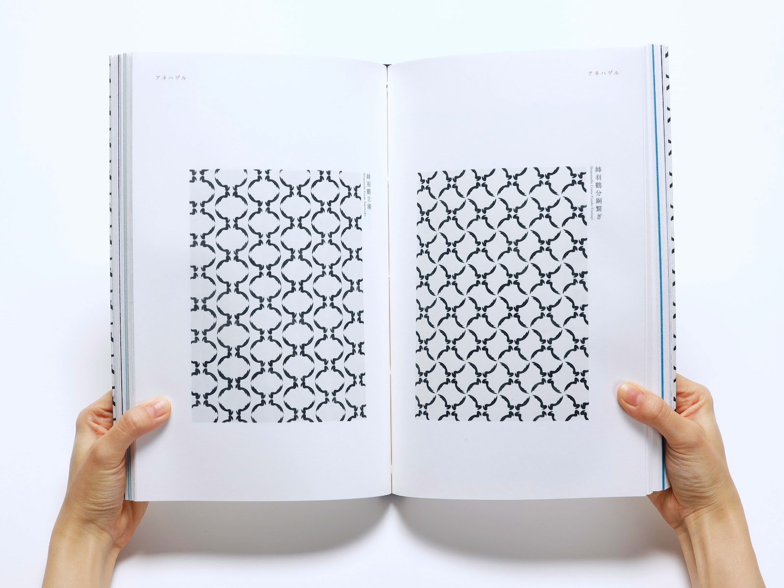 鳥をモチーフにした新しい文様の制作-thumb-4