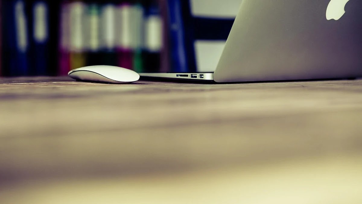 티스토리와 워드프레스 수익화 구조 및 광고 수익 차이점