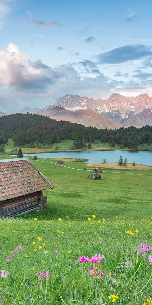 Landscape, Cabin, Field, Grass, Flowers 4K Wallpaper Background