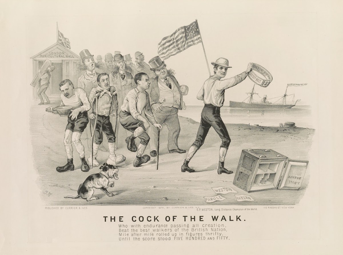 The cock of the walk 1879