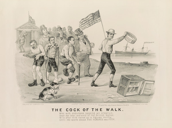 The cock of the walk 1879