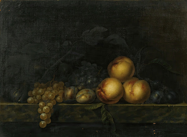 Still life with peaches plums grapes and figs on a marble ledge