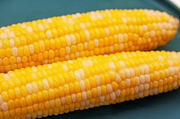 Điều bạn cần biết khi ăn ngô luộc buổi sáng để giảm cân - Báo Sức Khỏe &amp; Đời Sống