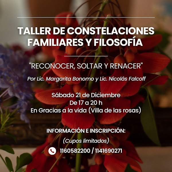 Taller de Constelaciones Familiares y Filosofía