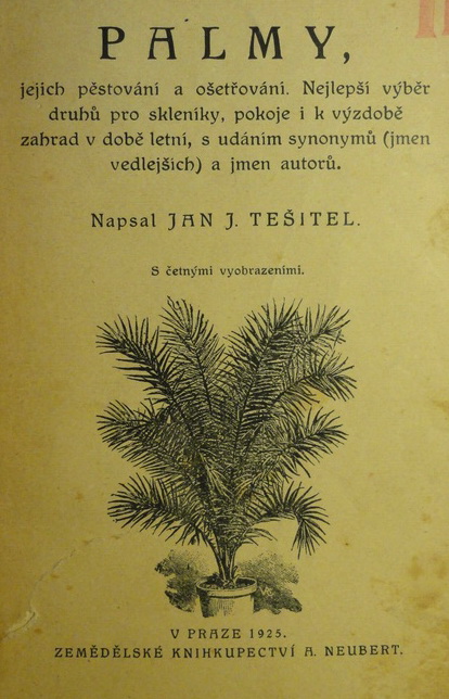Palmy jejich pěstování a ošetřování