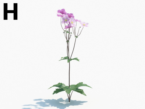 Maxtree - Plant Models Vol.3