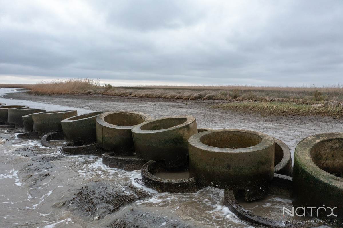 01.08.25 - Cypermort Point Oysterbreaks-8.jpg