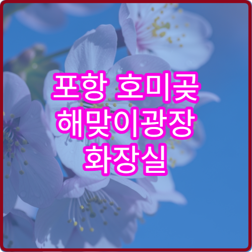 포항 호미곶 해맞이광장 화장실 편의시설 근처 숨은 위치 실시간 안내