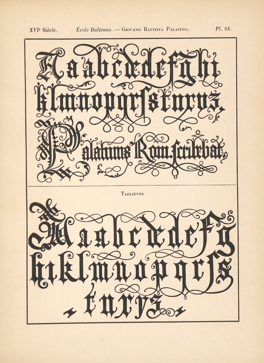 École Italienne  Giovano Battista Palatino  Alphabet gothique mineur 1895