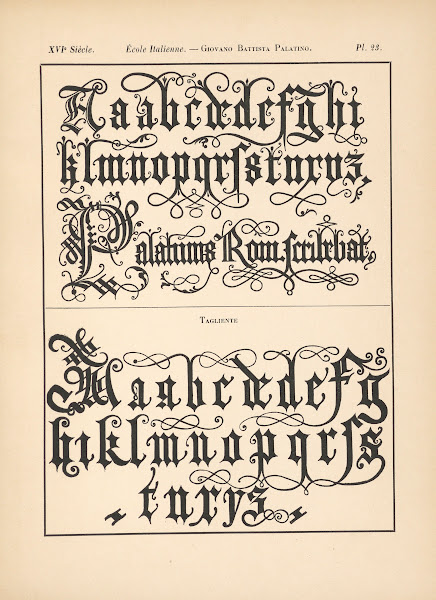École Italienne  Giovano Battista Palatino  Alphabet gothique mineur 1895