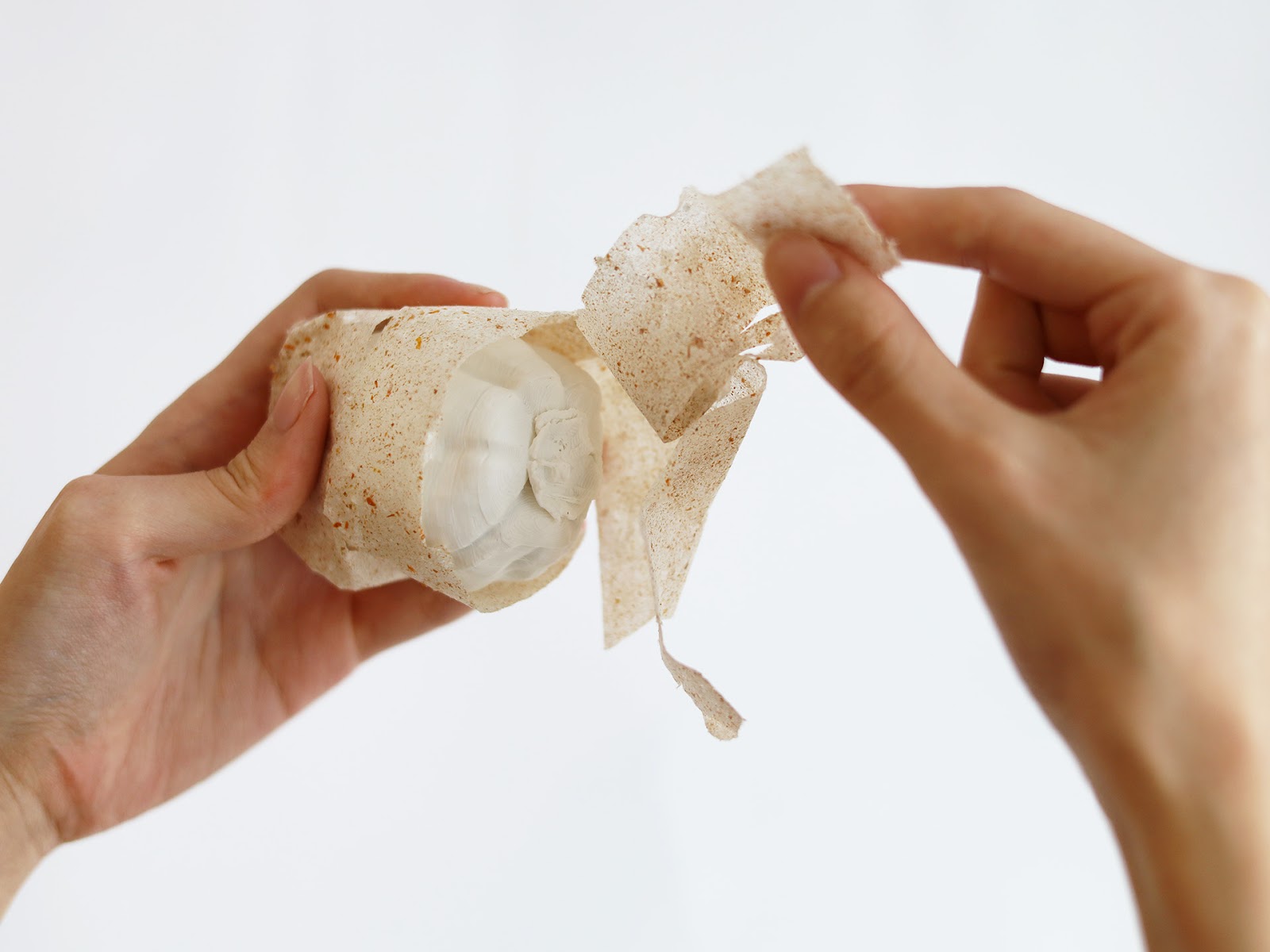 あんぽ柿のブランディングにおける持続可能な紙の制作と応用-thumb-4