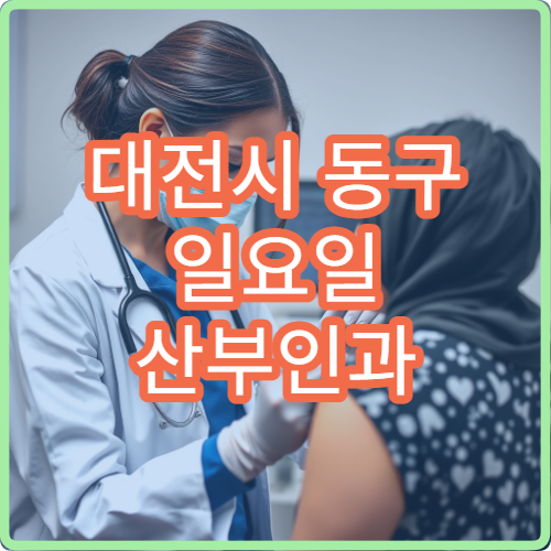 대전시 동구 일요일 산부인과 진료 병원 여성 건강 상담