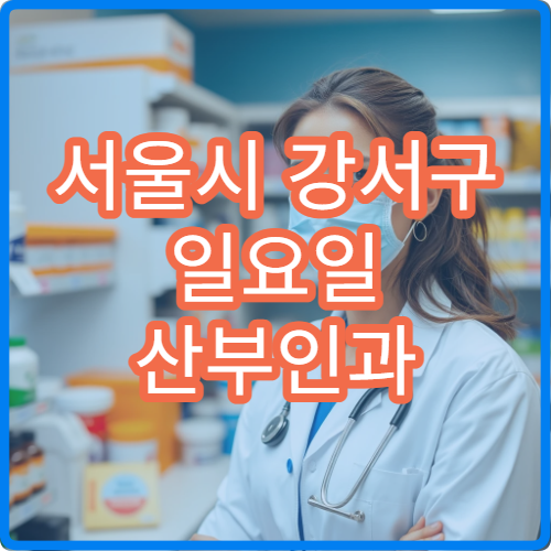 서울시 강서구 일요일 산부인과 진료 여성검진·질염 치료 가능한 병원 안내