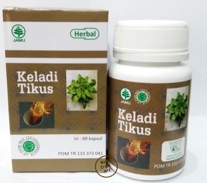 Keladi Tikus Typhonium Flagelliforme Rodent Tuber For Immune Support 60 Caps
