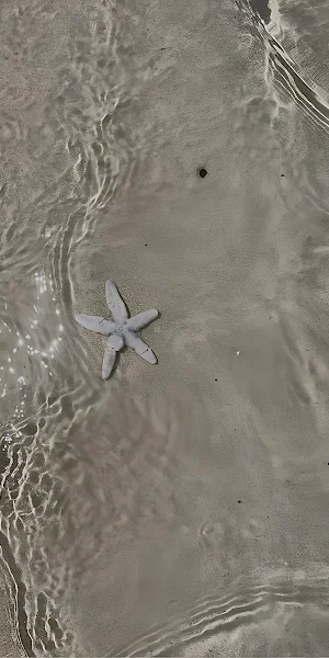 Starfish Under Shallow Water Full HD iPhone Wallpaper Background