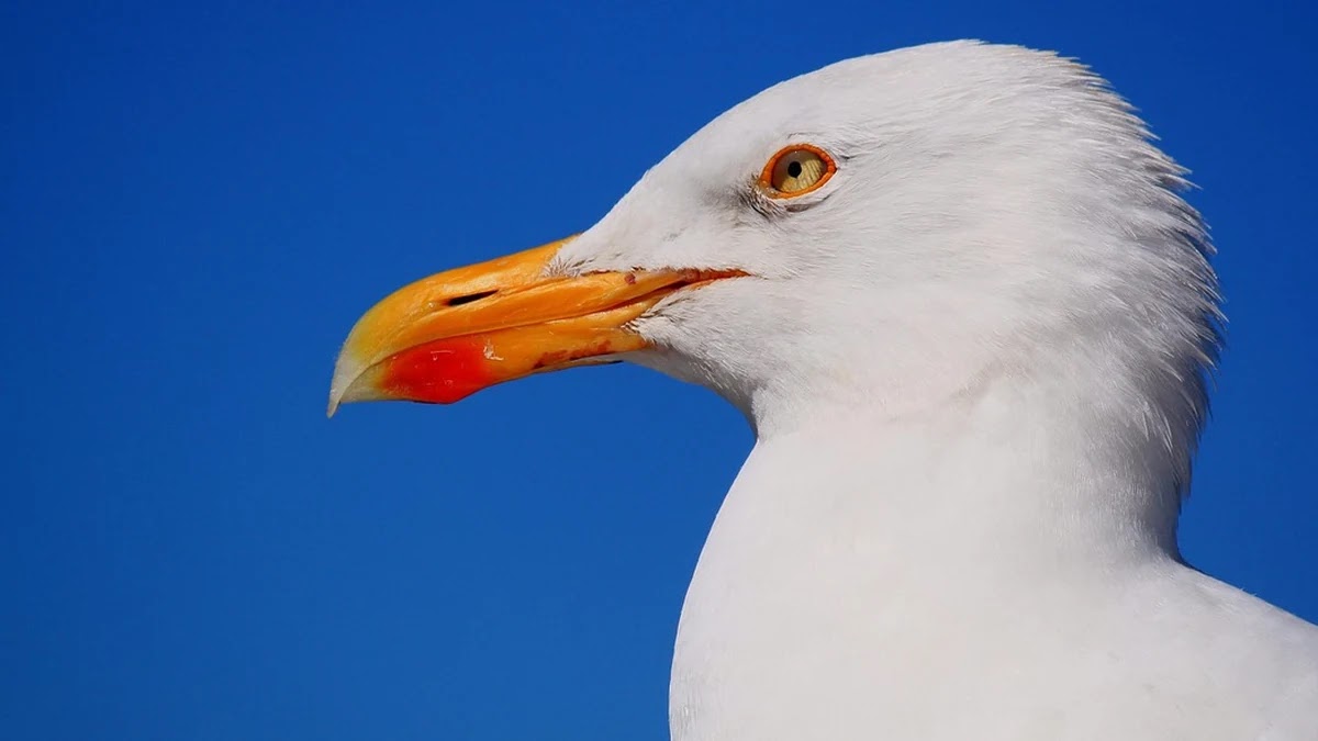 생활비 예산 세우는 단계별