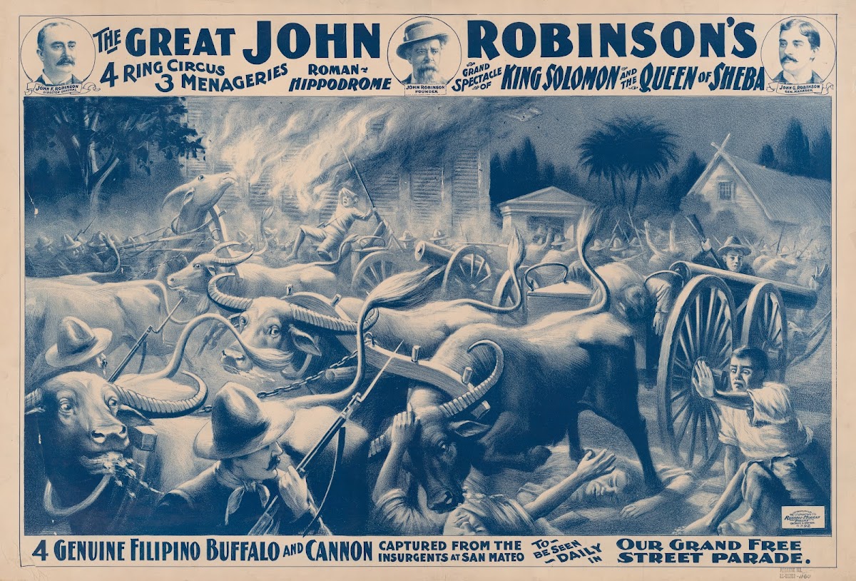 The great John Robinsons 4 ring circus4 genuine Filipino buffalo  cannon capture