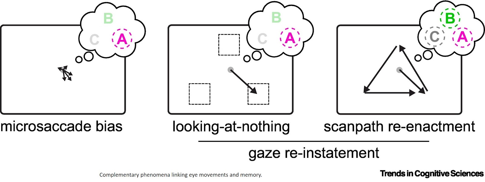 Looking into working memory through micro eye movements