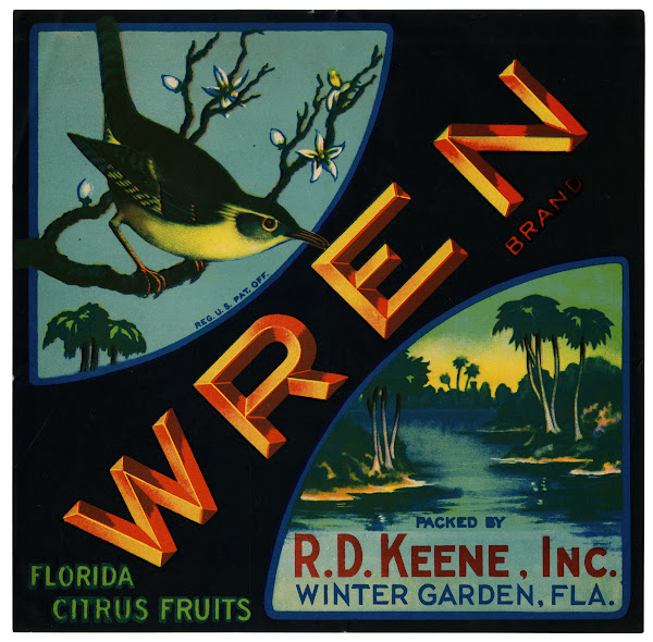 Wren Brand Florida Citrus Fruit Label 1940s