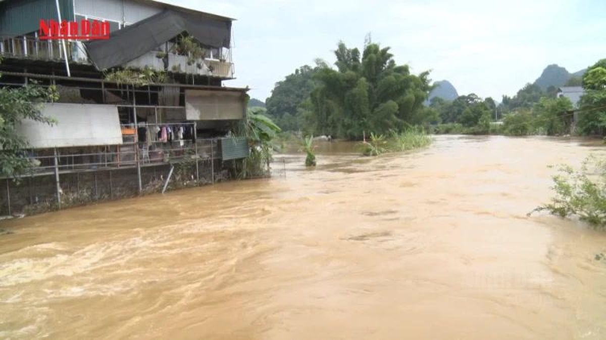 [Video] Mưa lũ gây nhiều thiệt hại tại tỉnh Cao Bằng - Báo Nhân Dân