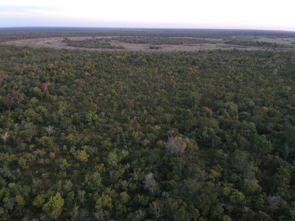Fazenda em Ribeirão Cascalheiras-MT 2