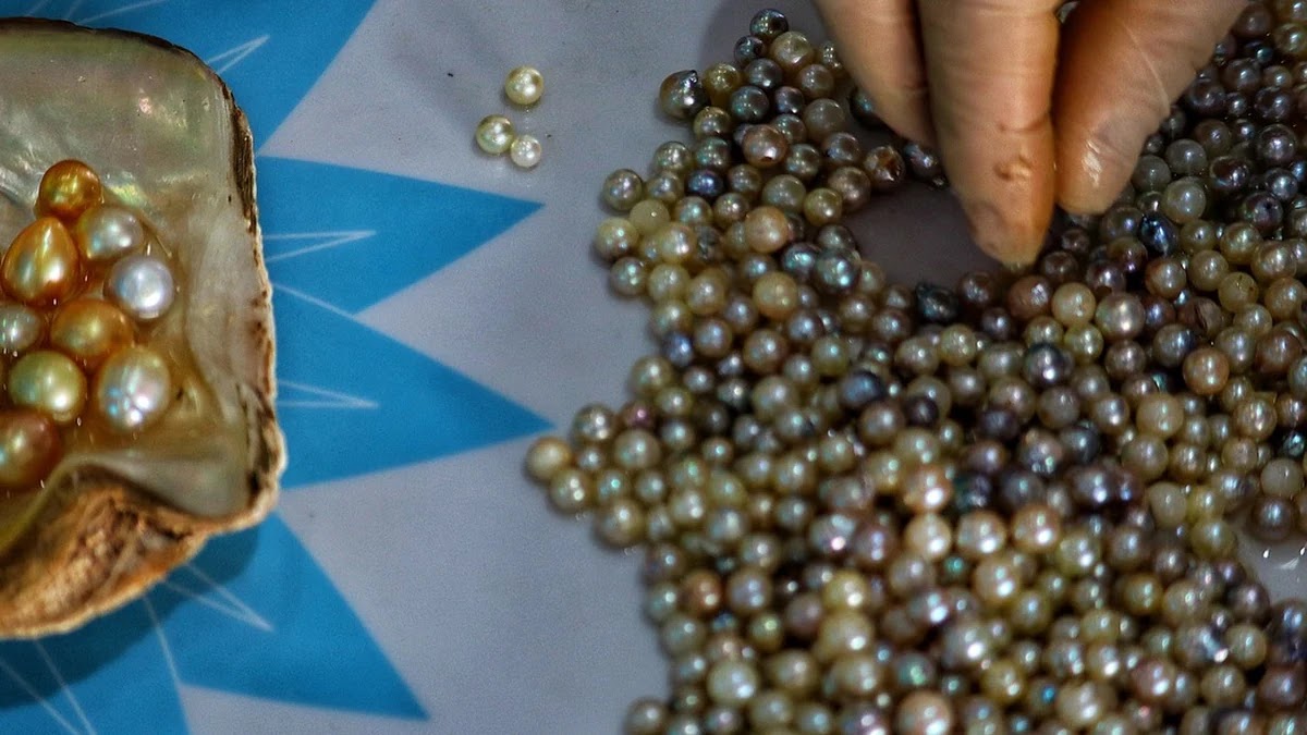 퀵정렬과 병합정렬 알고리즘 원리와 시간복잡도 차이