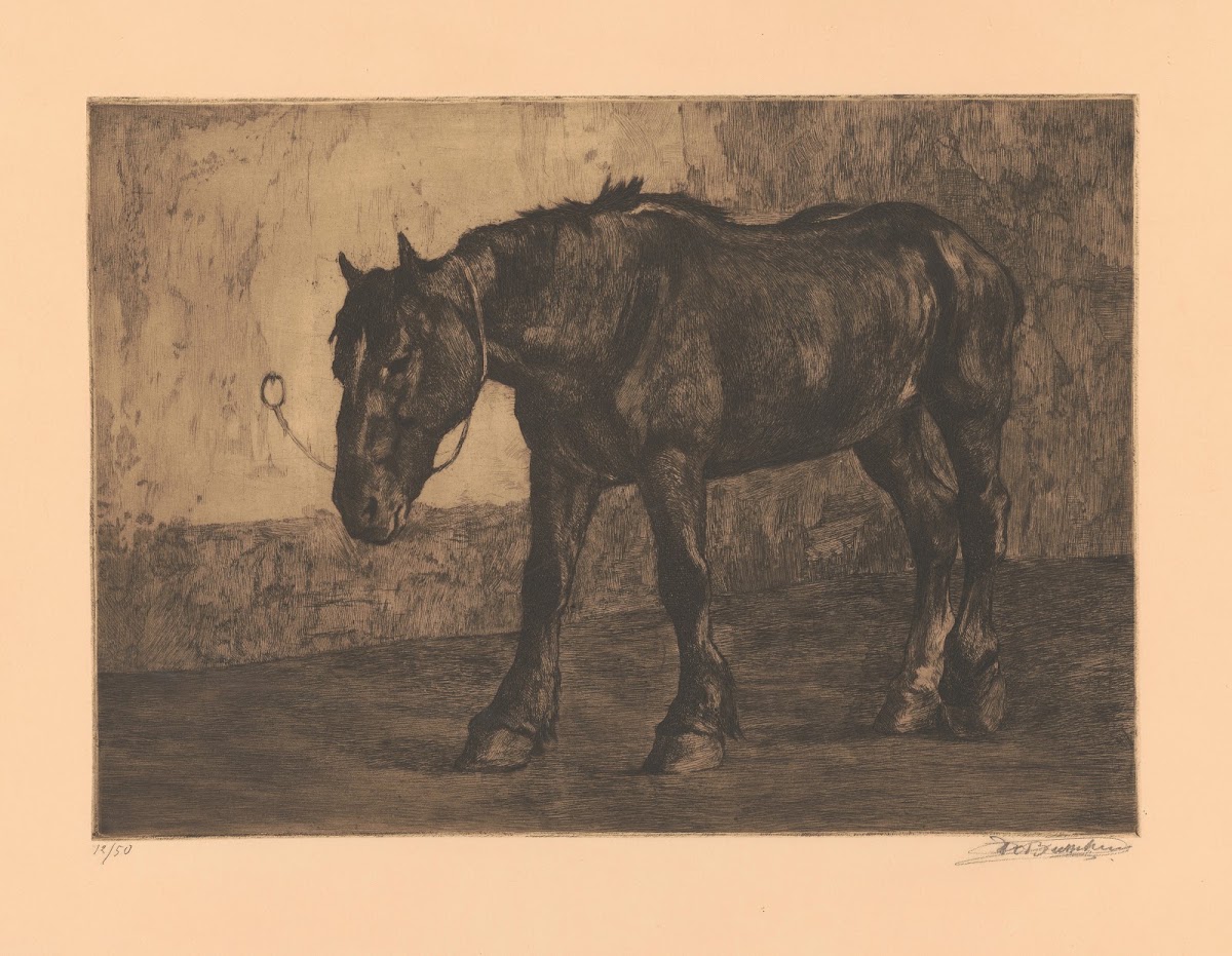 Cheval à léquarrissage