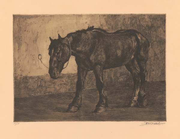 Cheval à léquarrissage