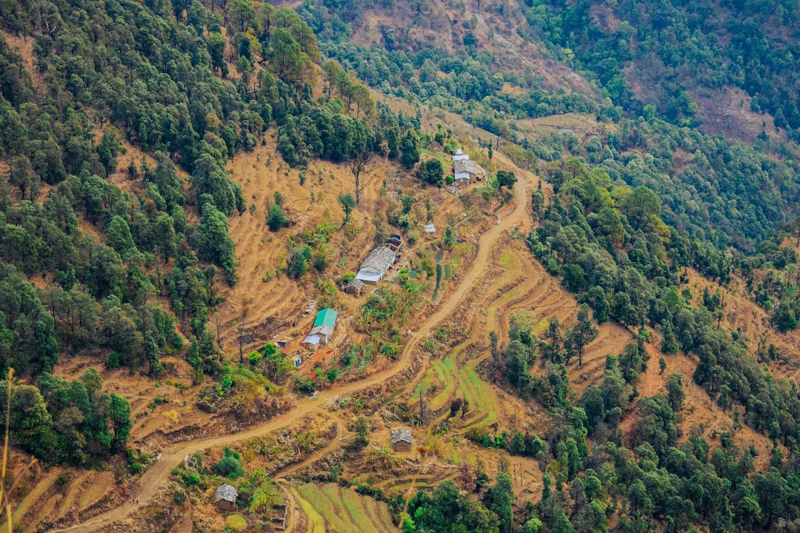 Hali Village: Traditional Galo Homestay Experience
