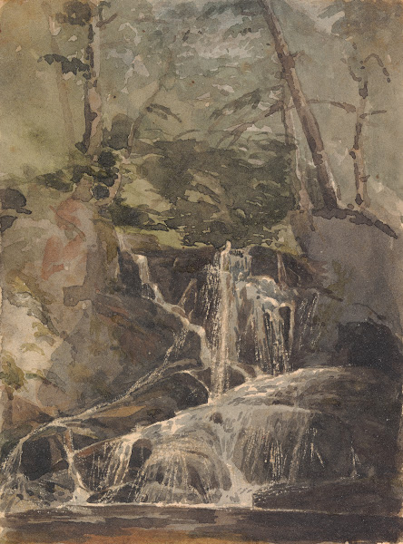 Small Waterfall in Forest