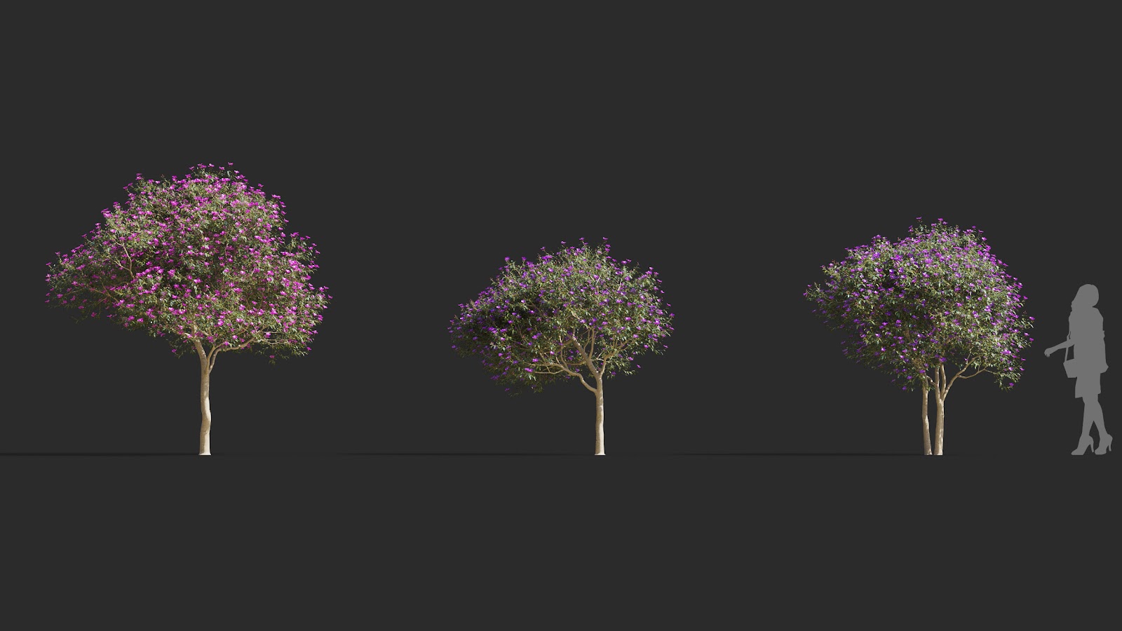 Maxtree - Plant Models Vol.72