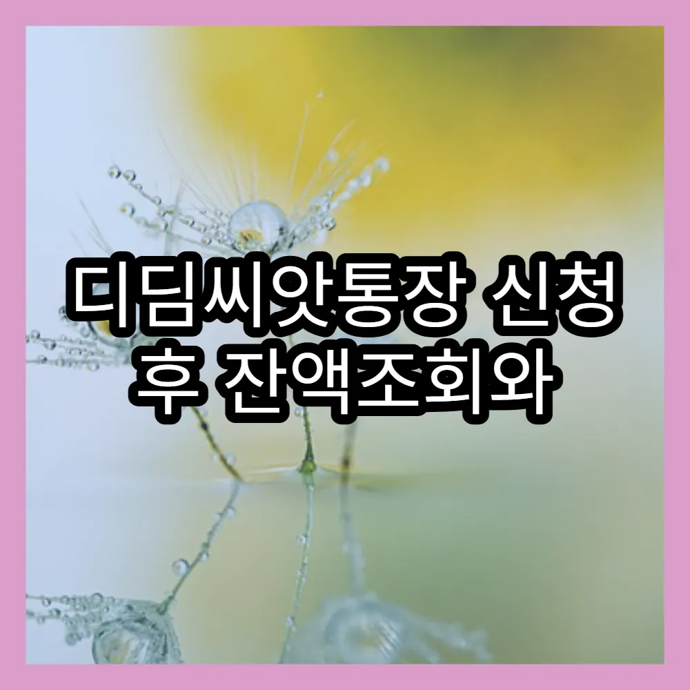 디딤씨앗통장 신청 후 잔액조회와 관리 팁