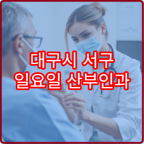 대구시 서구 일요일 산부인과 진료 운영 병원 찾기 상세 안내