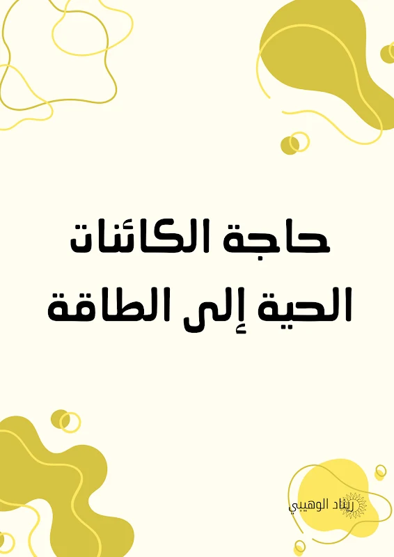 صورة الغلاف