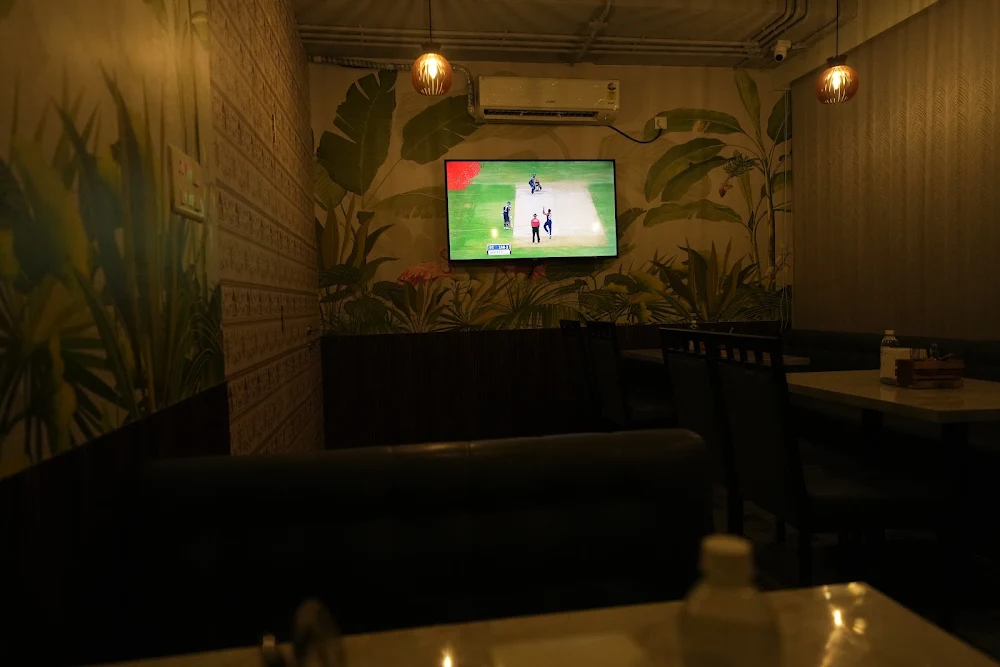 A cricket match playing on the screen in the garden room