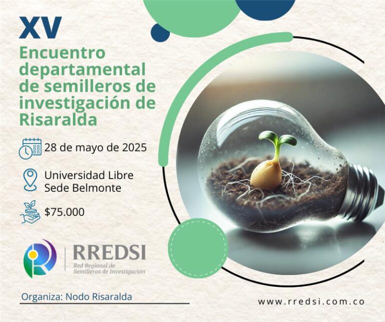 Flyer XV Encuentro RREDSI