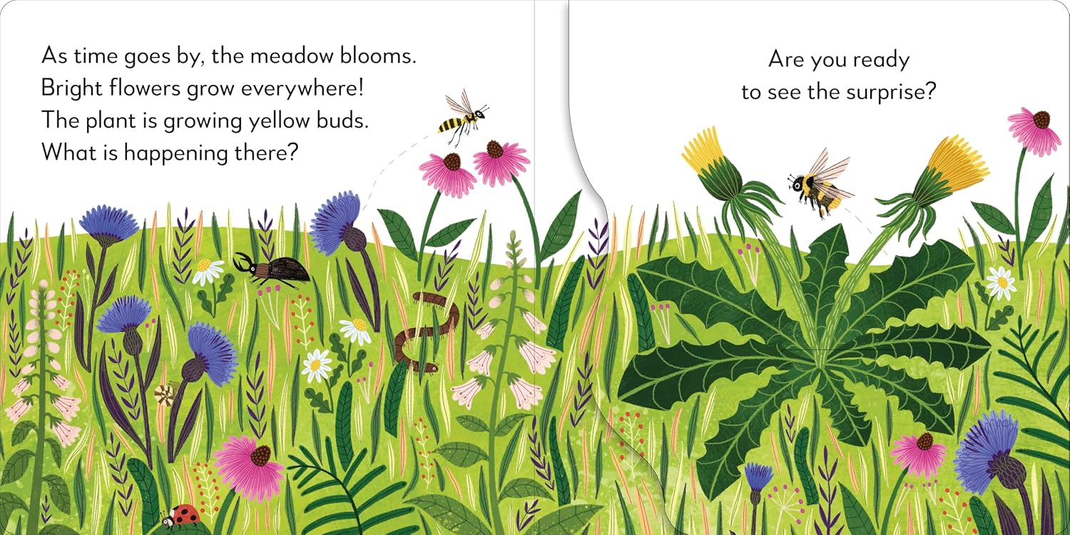 Pop-Up Peekaboo! Flower - thumbnail 2