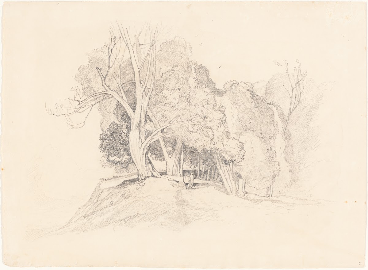 after John Sell Cotman Landscape with Trees