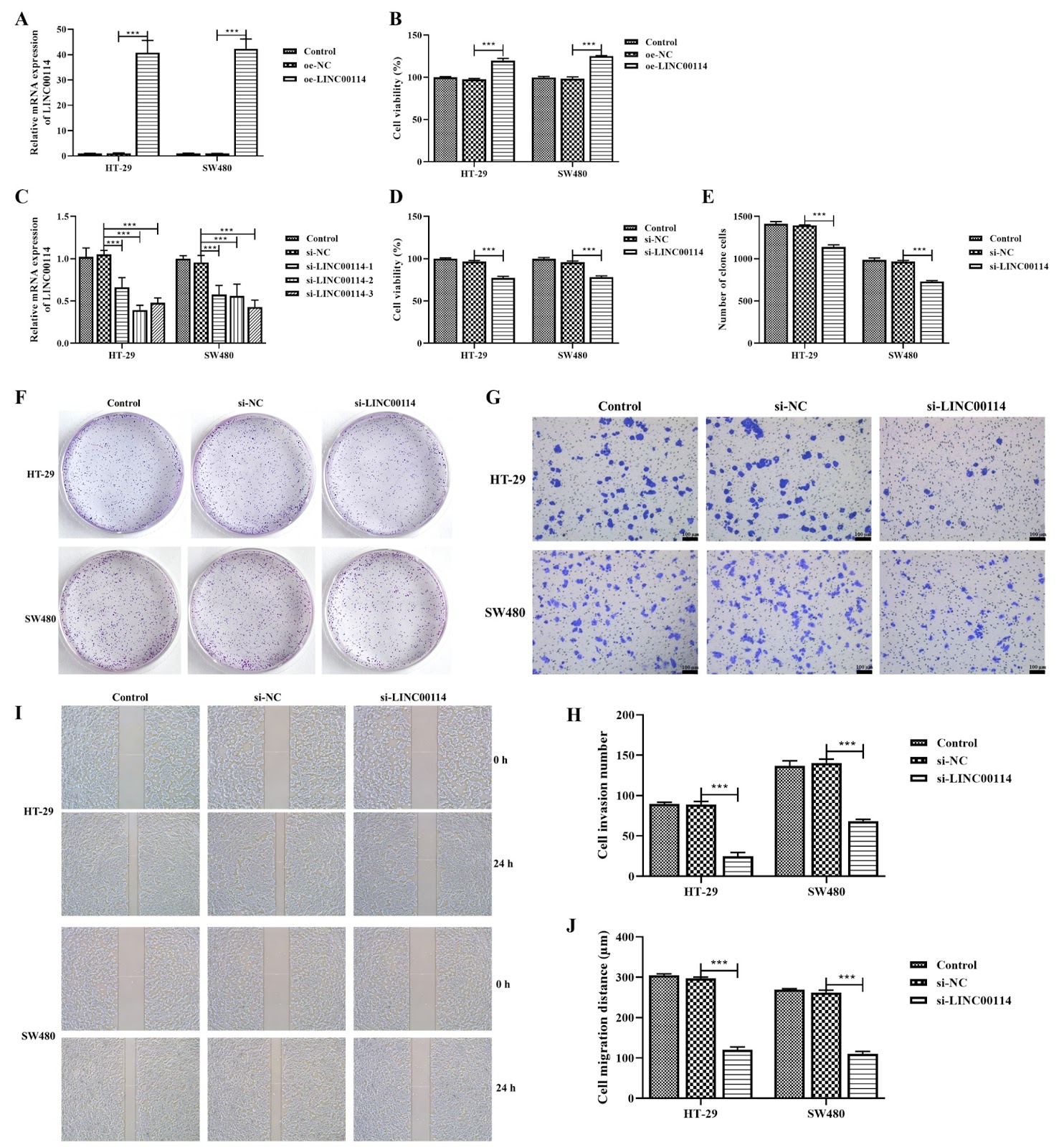 LINC00114 promotes colorectal cancer metastasis by targeting HNRNPA1 to regulate glutamine metabolism reprogramming and angiogenesis
